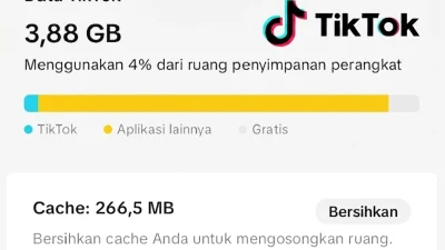 Kenapa TikTok Tidak Bisa Dibuka di iPhone? Penyebab dan Solusinya